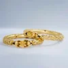 Zenvy-Creation-Premium-24-Kt-Gold-Plated-Ansh-Bala-4-by-5